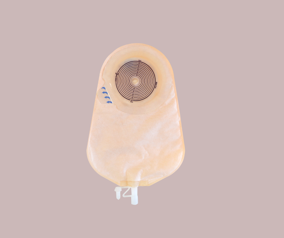 كيس مسالك بولية 2 قطعة التيرنا فري متعدد الحجرات60mm أبيض - COLOPLAST